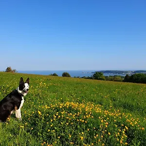 Clyne Farm Centre Farm stay The Mumbles